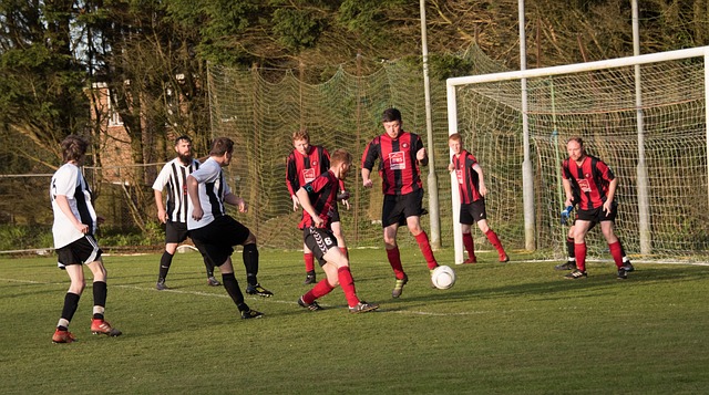 一项拥有悠 一项拥有悠