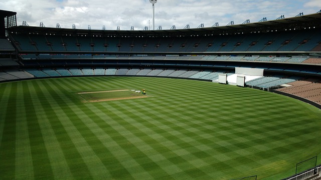 法國國家隊 法國國家隊