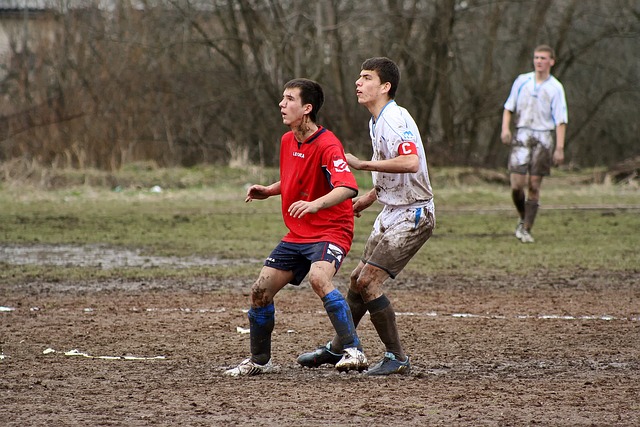 炙手可热的 炙手可热的