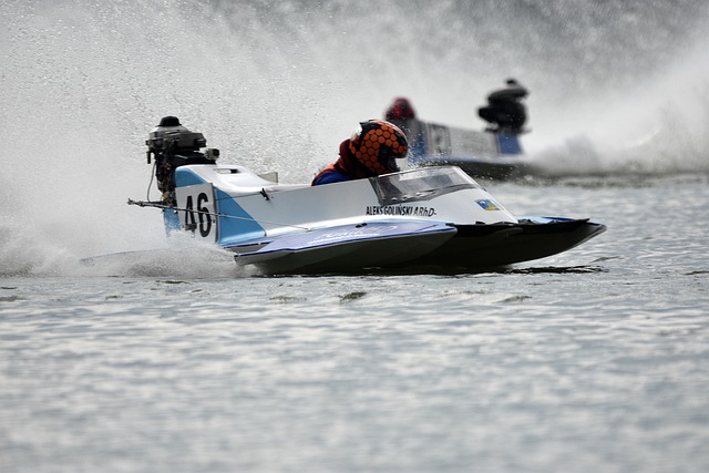 决定性作用 决定性作用