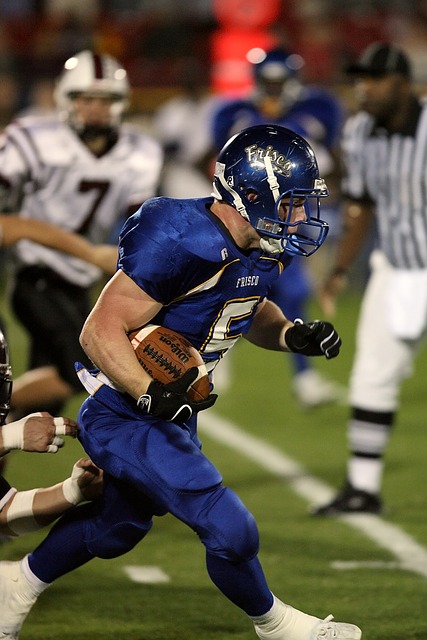 迷的喜愛 迷的喜愛