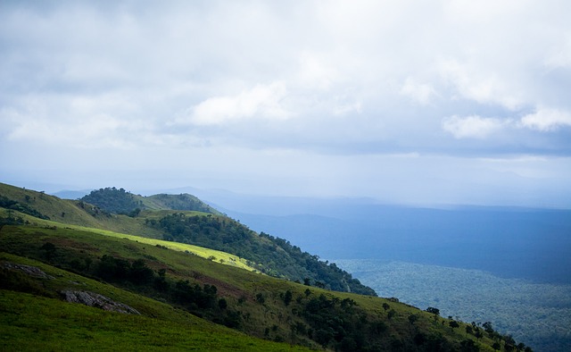 力的球员选 力的球员选