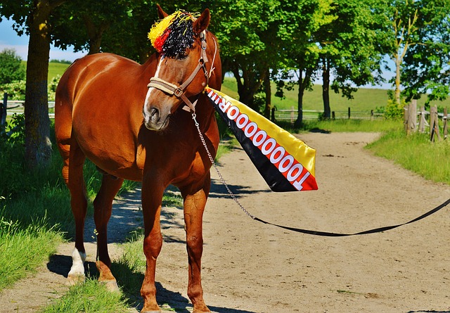 起雾镜片 起雾镜片