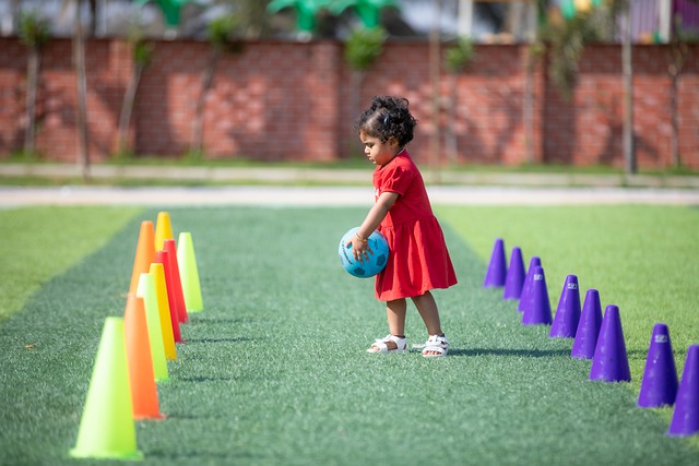 将带给我们 将带给我们