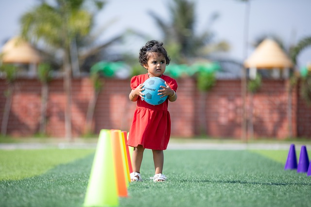 打球的场所 打球的场所
