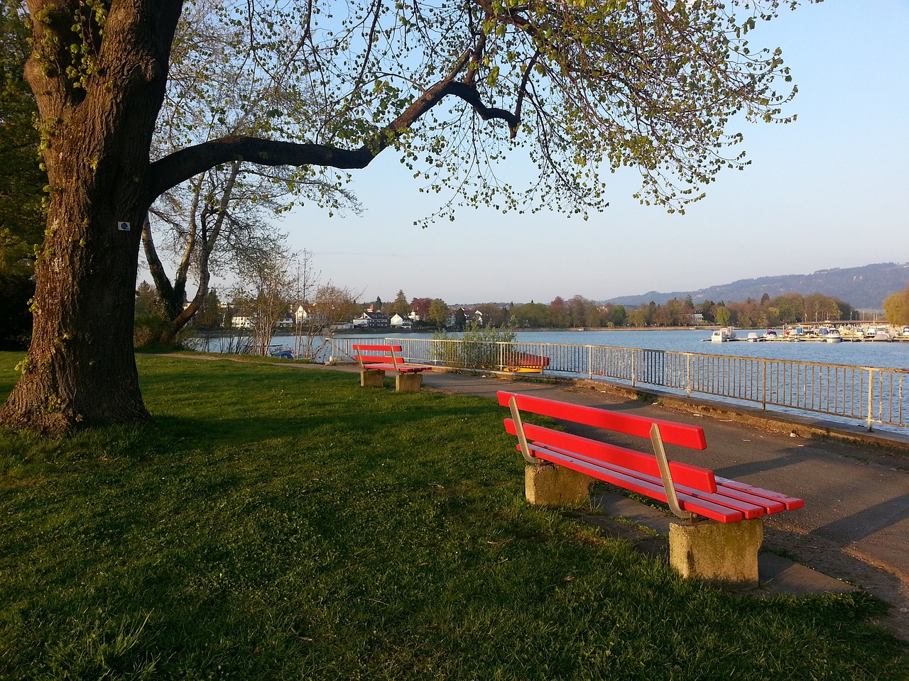 企业管理理 企业管理理