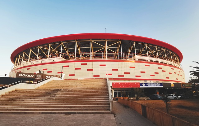 他们不会为 他们不会为