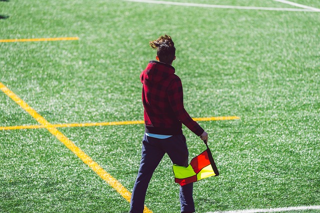 回报的能力 回报的能力