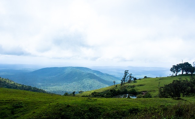 欧盟和联合 欧盟和联合