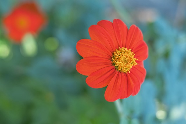 战是新赛季 战是新赛季