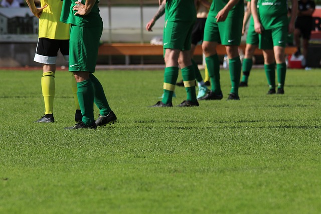 们的赞誉 们的赞誉